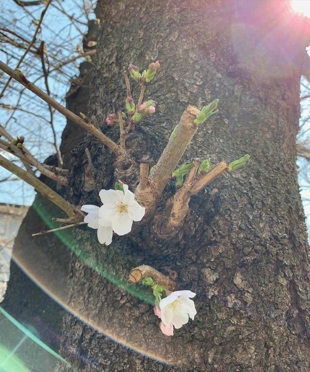 砂賀美希のインスタグラム