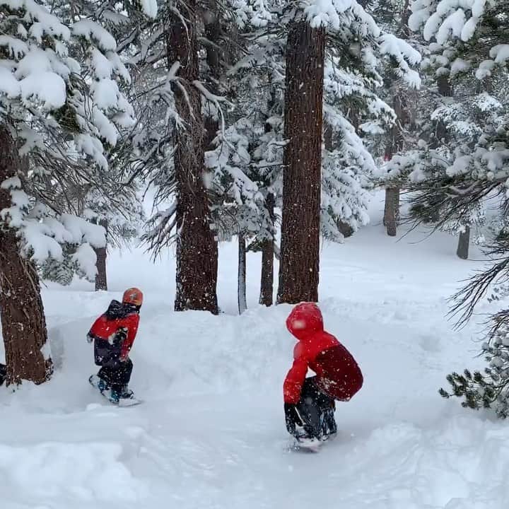 のインスタグラム：「Combo. 🐯🦁 #tamedog x #backflip #snowboarding #snowboarder #8yearsold #9yearsold スノーボーダー#キッズスノーボーダー#8歳#9歳」