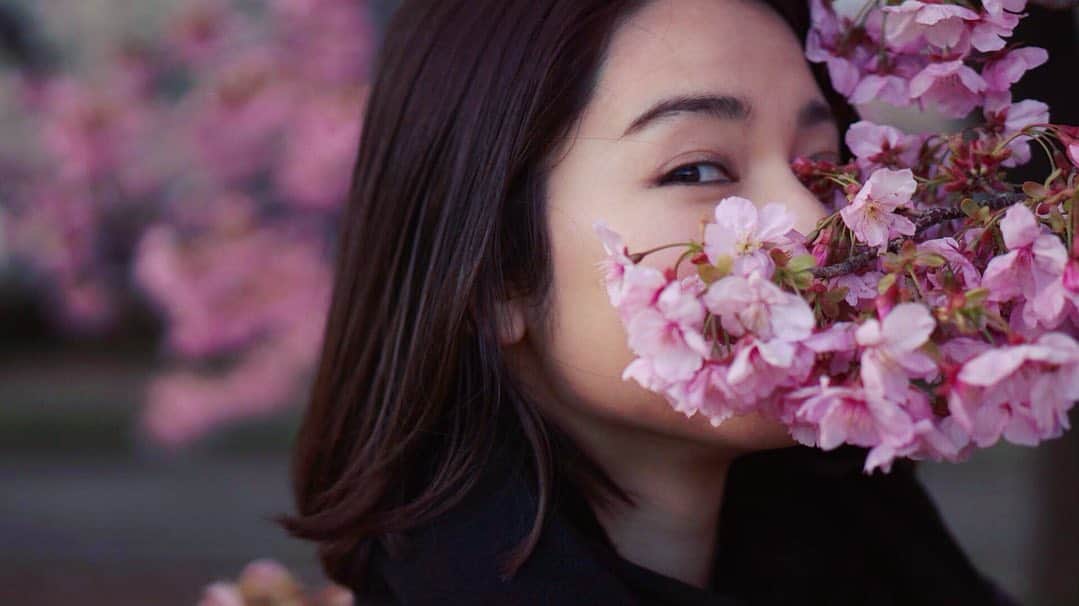 黒澤はるかさんのインスタグラム写真 - (黒澤はるかInstagram)「桜が咲き始めましたね🌸  #桜 #春の訪れ #開花」3月18日 14時43分 - haruka_offi