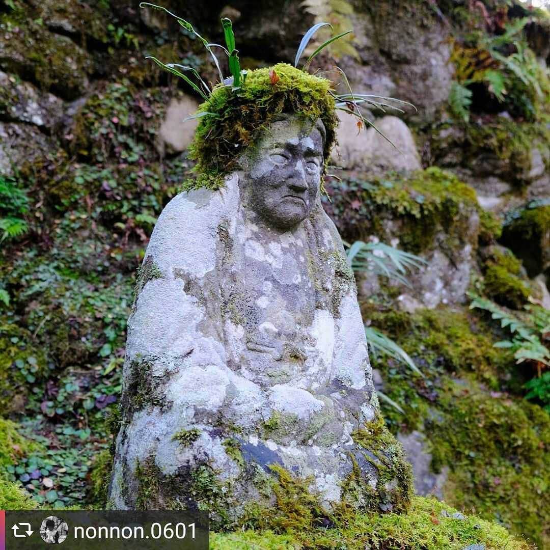 のインスタグラム：「兵庫県公式インスタグラム『love_hyogo』です。  love_hyogoでは皆さんが#lovehyogo のハッシュタグを付けて投稿していただいた写真から素敵な写真をご紹介させていただきます。  本日のピックアップは @nonnon.0601 さんのお写真です👑 ハッシュタグをつけての投稿ありがとうございます🙏  写真は丹波市青垣町にある『高源寺』での一枚です📷  苔むす中に、渋い表情でジッと佇む石像の姿に哀愁を感じつつ、頭をすっぽりと覆った苔の帽子と、ぴょんぴょんはねている草が、羽の装束のようで可愛らしさも感じます😆  この石像は実は達磨さんで、お地蔵様につける毛糸の帽子をこの達磨さんにもつけたところ、その毛糸に苔が生えてこのような頭に苔を被った不思議なフォルムになったとのこと。とても人気の達磨さんで、テレビでも紹介されたことがあるそうですよ〜😄実物を見てみたいですね😁👍 兵庫にまつわる投稿は#lovehyogo のハッシュタグをお願いします👈  #兵庫県#兵庫#lovehyogo#love_hyogo#photooftheday#followme#hyogo #丹波市 #青垣町 #丹波市青垣町 #高源寺 #苔 #達磨 #苔むす #石像 #哀愁」