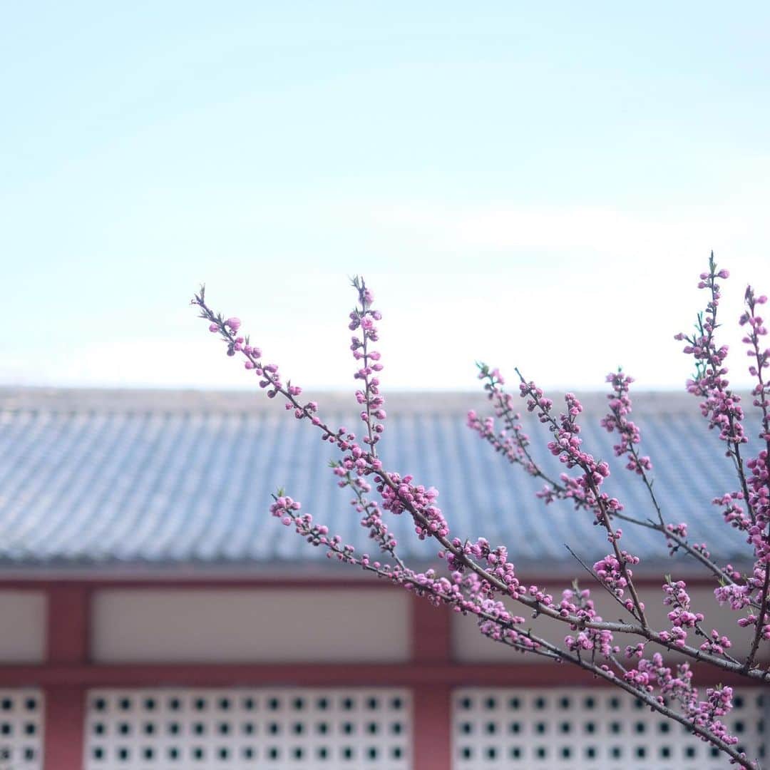 奈良 長谷寺 / nara hasederaのグルメインスタ