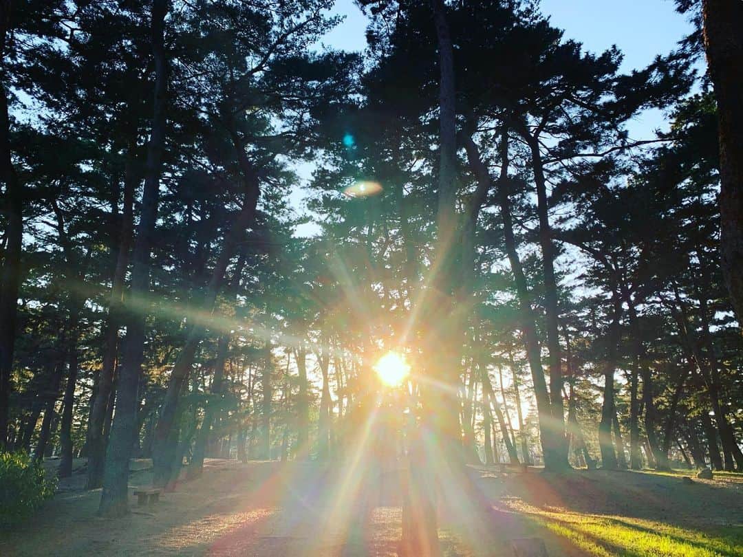 マサ小浜さんのインスタグラム写真 - (マサ小浜Instagram)「The Light」3月18日 17時15分 - masakohama1