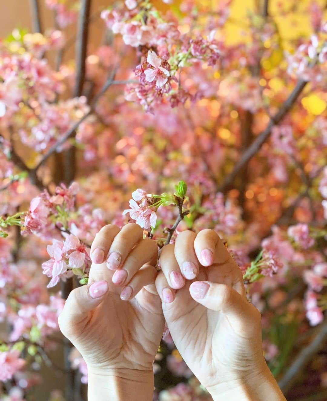 越馬千春さんのインスタグラム写真 - (越馬千春Instagram)「. . 念願の桜🌸✨💅 . . @risa.malvina さん考案の桜デザイン🌸💕 最高に可愛いです❣️ いつもありがとうございます😌 . #newnails #ネイル #nail #ジェルネイル #麻布十番 #ネイルサロン#malvina#桜ネイル#桜ネイル🌸 #桜ネイル#桜デザイン#sakura #千春の趣味#ペニンシュラ東京 #ペニンシュラ#peninsulatokyo#ママライフ#👩」3月18日 17時38分 - chiharukoshiba