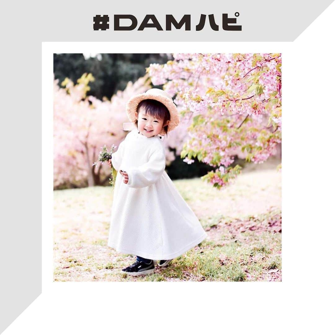 DAMチャンネルさんのインスタグラム写真 - (DAMチャンネルInstagram)「・﻿ ▽今週のDAMハピ△﻿ ﻿ みなさんの『 #DAMハピ 』な瞬間をお届け！﻿ 今回ご紹介するのは「春の写真」です🌸﻿ ﻿ ﻿ ___________________________﻿ ﻿ 1枚目： @mt.evaat__ さん﻿ ﻿ こんなにも綺麗な桜のアーチが身近にあるだなんて素敵です！﻿ つい見過ごしてしまう風景に目を向けることも大切ですね。﻿ ﻿ 【Caption pickup】﻿ 『ふたりを彩る木漏れ日色』﻿ 🌸﻿ Location: Kanagawa / Japan﻿ ﻿ 今年は人がたくさん集まるような桜の名所には﻿ 行けないかもしれないけれど、﻿ その分いつもは通りすぎてしまう身近な春色を﻿ 見つけられたらいいな。﻿ ___________________________﻿ ﻿ 2枚目：@shanya.chan.h さん﻿ ﻿ 満開の桜の下で笑うお子様とってもキュートです💓﻿ キャプションも家族との日々が綴られており思わずクスッとしてしまうエピソードでした！﻿ ﻿ 【Caption pickup】﻿ ﻿ 『口癖』﻿ ﻿ 「マジで」をどこで覚えたの？とは言いません﻿ パパがいつも言っている﻿ それをいつの間にかコピーして最近口癖にしてる🤭﻿ 言葉や表情から人の気持ちを理解してることに﻿ あぁ成長してるなーと一瞬ドキっとしたのに﻿ 締め括りがまさかの「マジで」だったことに﻿ ハッとさせられて感動が薄れた🤣﻿ ﻿ ___________________________﻿ ﻿ ﻿ 次回はどんなお写真が紹介されるのでしょうか！﻿ お楽しみに！﻿ ﻿ ー﻿ ﻿ #DAM #DAMCHANNEL #ダムカラ #DAMハピ ﻿ #DAMプレ #今週のDAMハピ #damstagram #オッケーDAM #LIVEDAM_Ai #OK_DAM﻿ ﻿ #投稿キャンペーン #プレゼントキャンペーン #プレキャン #インスタグラムキャンペーン #プレゼント企画 #キャンペーン実施中 #カラオケ好き #かぞくじかん #子供のいる暮らし #お出かけ #くらしを楽しむ #桜の季節 #桜 #春の季節 #満開 #桜並木 #お出かけ」3月18日 17時56分 - damchannel