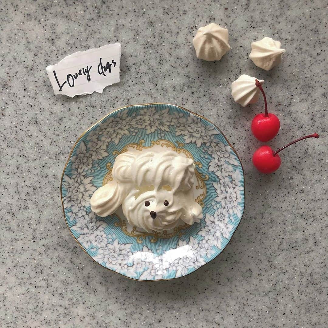MERYさんのインスタグラム写真 - (MERYInstagram)「. 一日中家で過ごす日は、お菓子を作って""おうちカフェ""を楽しんでみない？ こちらの可愛らしい犬の形をしたメレンゲクッキーは手作りすることができますよ。 YouTubeで『わんわんメレンゲクッキー』で検索すると、作り方を紹介する動画が出てくるので参考にしてみて♡ . MERYでは他にも「かわいい」に近づくさまざまな情報を発信しています。 @mery.beauty コスメ・美容に特化した情報をお届け♡ @mery_spot 話題のカフェやお出かけスポットをご紹介！ こちらもぜひチェックしてみてください！ . . photo by @__kyaachanxx__ . #MERY #regram #cafe #cookies #dog #homemade #meringue #meringuecookies #카페타그램 #カフェ #おうちカフェ #お家カフェ #手作りお菓子 #てづくりおやつ  #おうちスイーツ #今日のおやつ  #クッキー #メレンゲクッキー #メレンゲ  #メレンゲ菓子 #犬 #プードルクッキー #手づくりクッキー #手作りクッキー #犬クッキー #お菓子作り好きな人と繋がりたい #お洒落 #お洒落さんと繋がりたい #MERY女子 #メリー」3月18日 18時00分 - mery.jp