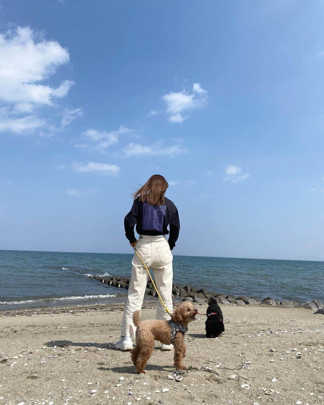 市野莉佳さんのインスタグラム写真 - (市野莉佳Instagram)「. いい天気だったから めろとおはぎとお散歩🐶  洋服のブランドさんはタグ付けを みってね。  #りかりこ #ファッション #コーディネート #ootd #fashion #dog #twins #instalike #トイプードル #プーチー」3月18日 18時12分 - ichirika_62