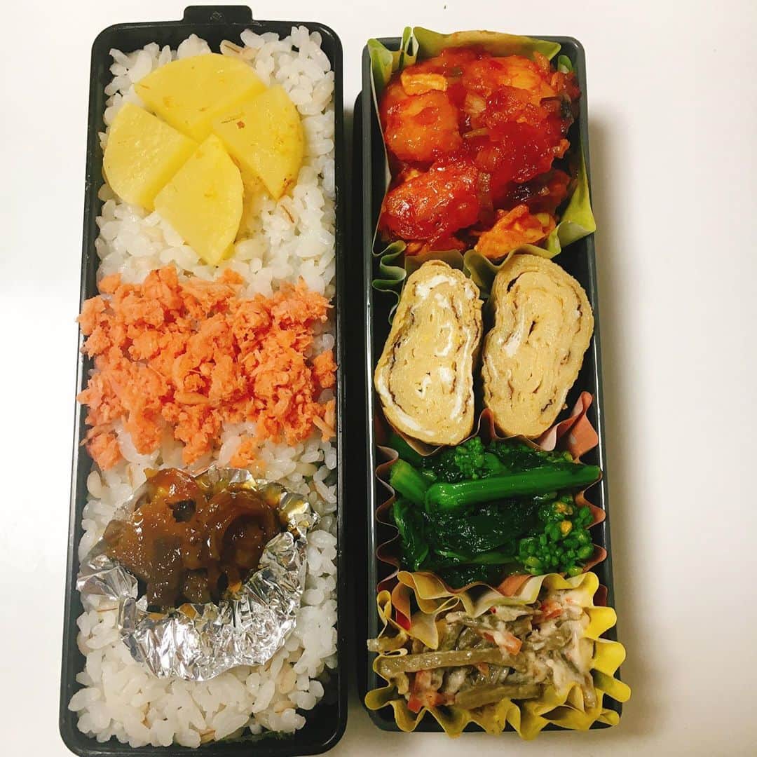 水野愛日のインスタグラム：「最近のお弁当( *´꒳`*) #まなびごはん #お弁当 #お弁当記録 #ワンパターン弁当 #女子べんとう #女子弁当 #つくりおき弁当 #簡単弁当 #お弁当記録 #おべんとぐらむ #おべんとう作り楽しもう部」