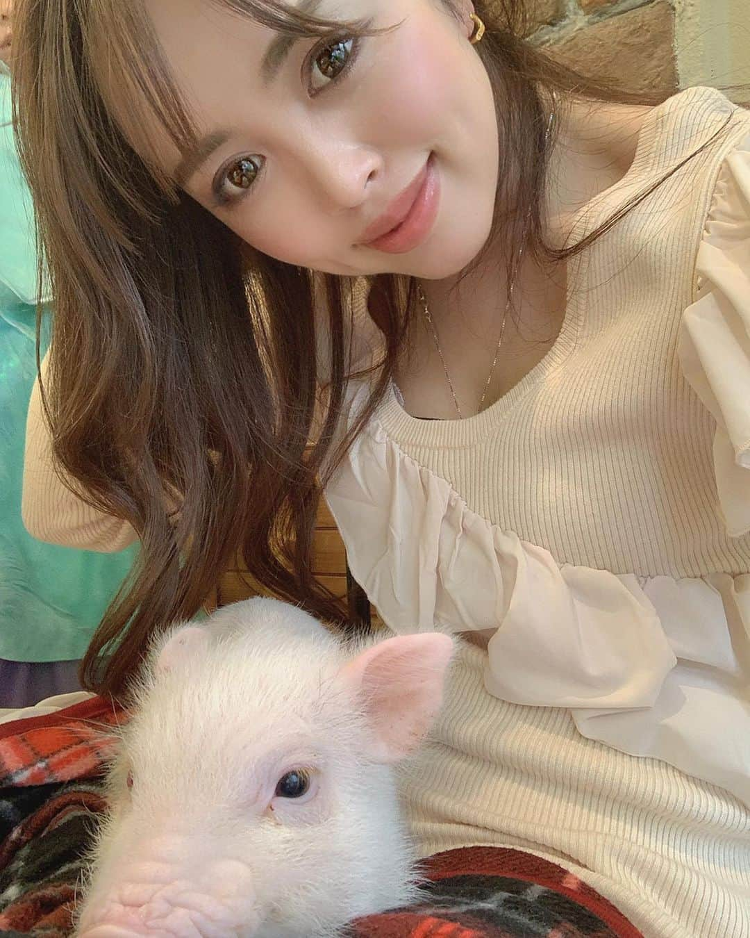 板橋瑠美さんのインスタグラム写真 - (板橋瑠美Instagram)「ミニブタちゃん🐽とデート♡﻿ ﻿ ﻿ この間２回目の﻿ @mipigcafe ﻿ へ行ってきました❤️﻿ ﻿ ﻿ ﻿ 今回もとても懐いてくれて幸せ時間でした…♡♡﻿ ﻿ ﻿ 原宿の竹下のすぐ裏にあるよー^ ^﻿ ﻿ ﻿ ﻿ また🐽しゃんに癒されに行こーっと💕」3月18日 18時49分 - rumi_official_0616