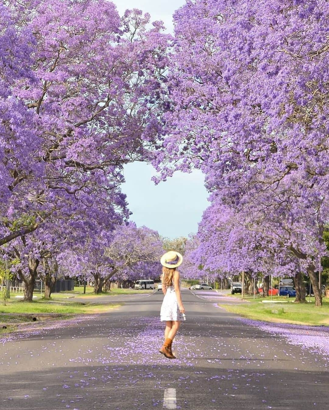 pomeloのインスタグラム：「Pomelo Cover | Dancing in the purple rain. 🌸🌸🌸🌂 Spring is right around the corner. . . Just as @lubicazbonak said in the caption, "Your mind is a garden, Your thoughts are the seeds". She gives you a feeling that her photos are like scrolls in a fairy tale, with a hint of dreamy. 💕 .  Let's wandering through her purple and dreamy pics.  #pomelocam #pomelocamera #pomeloapp #myclarencevalley #ausgeo #divine_forest #speechlessplaces #goneoutdoors #wearegoldcoast #ilovesydney #outside_project #exploringaustralia #bestdiscovery #depthsofearth #mountainstories #roadtripusa #newzealandguide #dnescestujem #weroamgermany #thisissouthafrica #africanamazing #citizenfemme」