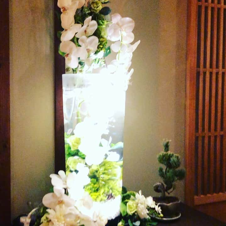 大阪・東京のアクアリウムならa.a.c.のインスタグラム