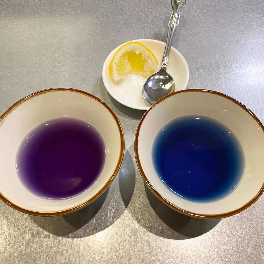 水木一郎さんのインスタグラム写真 - (水木一郎Instagram)「‪タイやベトナムなど東南アジア原産のマメ科の植物。青いハーブティーのバタフライピーを初めて飲んでみました。ピーって豆のことなのかな〜？‬ レモンを絞るとなんと紫色に変化。香りも甘いハーブティーです。‬ ‪#バタフライピー‬🦋 ‪#バタフライ茶‬ ‪#青いハーブティー  #チョウマメ  #水木一郎  #ichirōmizuki」3月19日 6時16分 - ichiromizuki