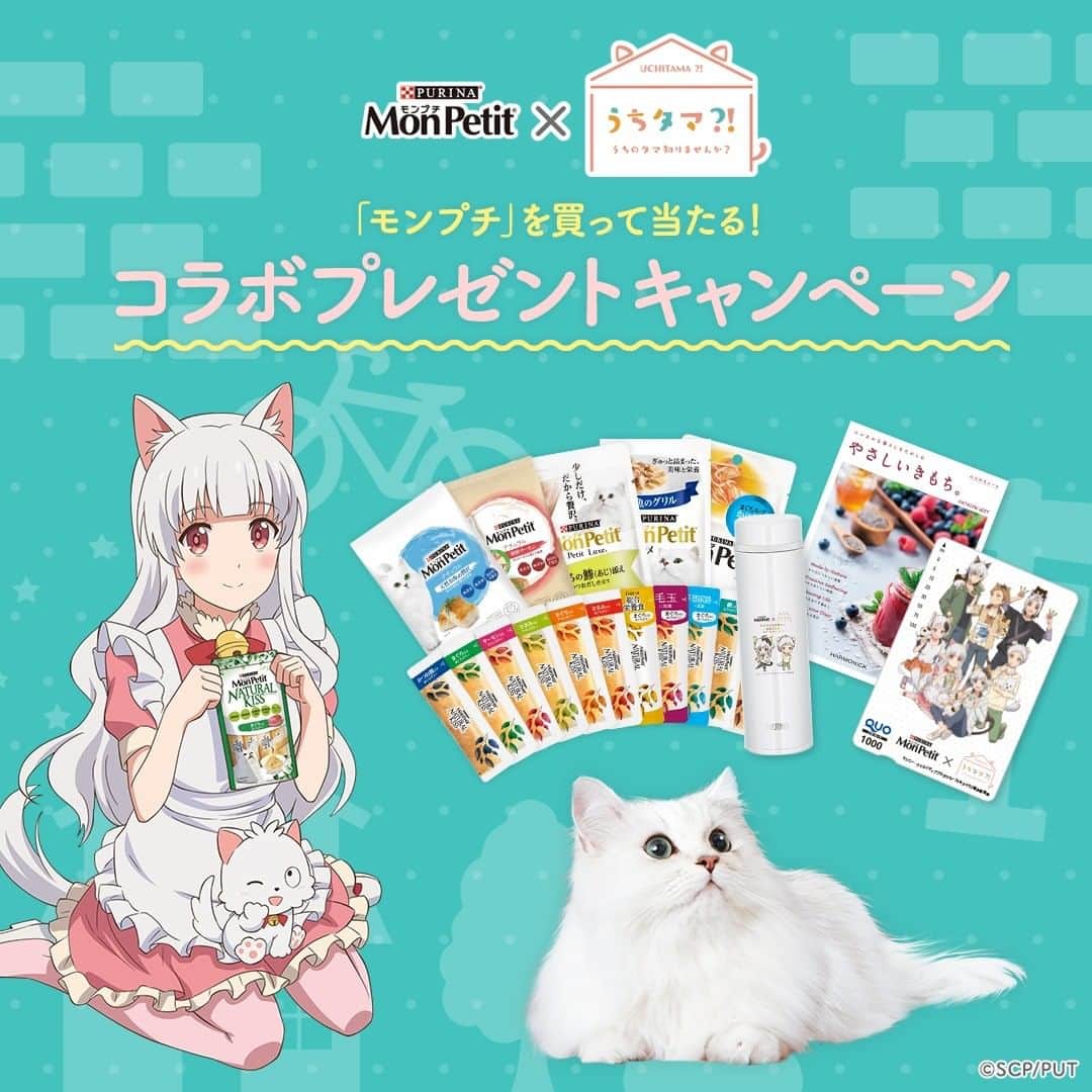 のインスタグラム：「＼ #モンプチ を買って当たる！プレゼントキャンペーン／ 🐱　＃うちタマ コラボQUOカードやケータイマグ、「モンプチ製品」などが抽選で400名に当たるキャンペーン実施中♪  #からだにも美味しいモンプチうちタマコラボ  詳しくは「モンプチ　公式HP」をチェック！ https://nestle.jp/brand/monpetit/campaign/uchitama/hash-tag-cp.html」