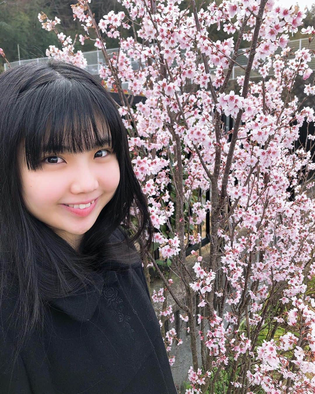 北川愛乃さんのインスタグラム写真 - (北川愛乃Instagram)「今日、今年初めての桜を見ました🌸✨ とっても綺麗で いい香りだったなぁ〜(*´꒳`*)💕 #桜 #今年初 #きれい #pink  #香り」3月18日 21時34分 - kitagawayoshino