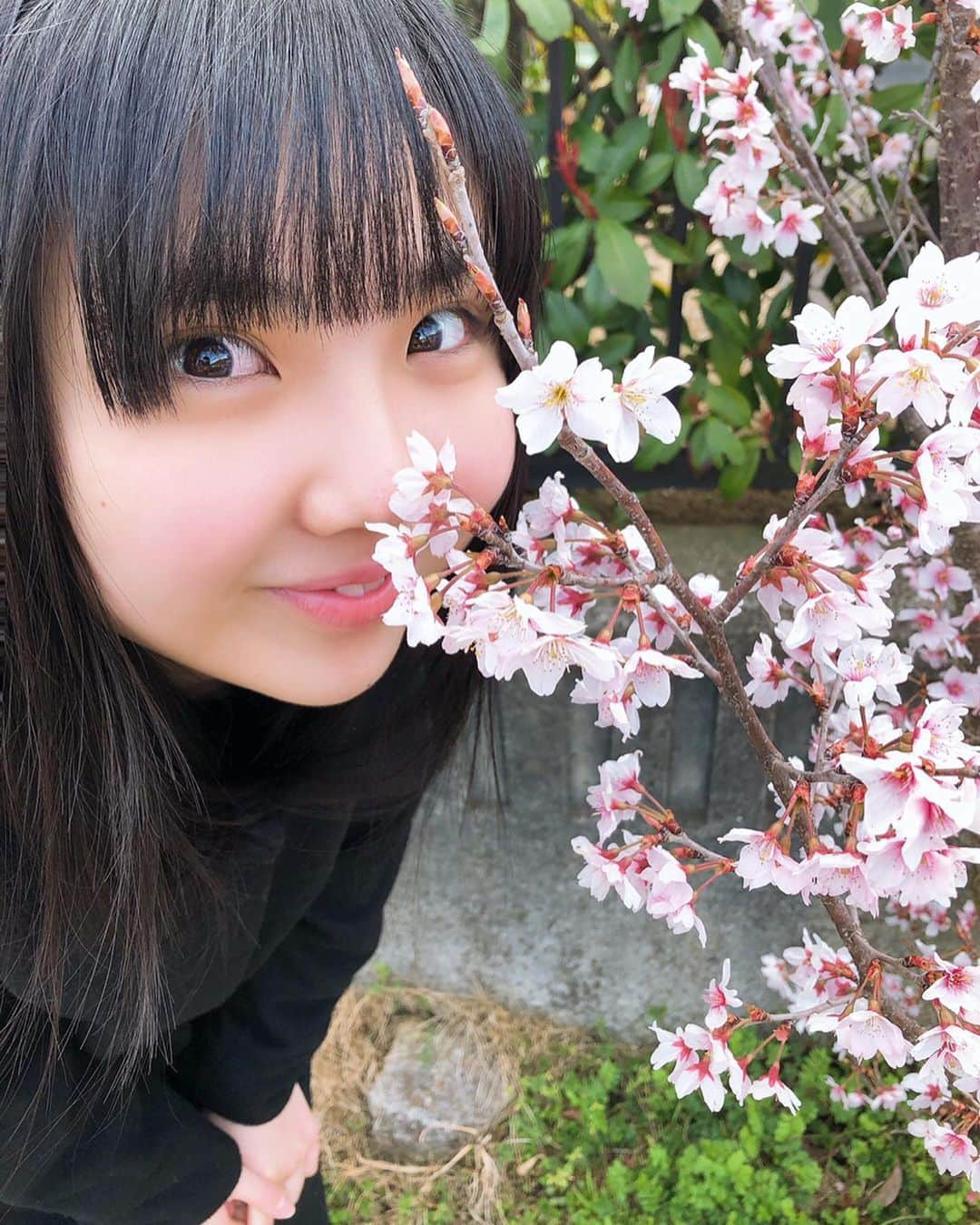 北川愛乃さんのインスタグラム写真 - (北川愛乃Instagram)「今日、今年初めての桜を見ました🌸✨ とっても綺麗で いい香りだったなぁ〜(*´꒳`*)💕 #桜 #今年初 #きれい #pink  #香り」3月18日 21時34分 - kitagawayoshino
