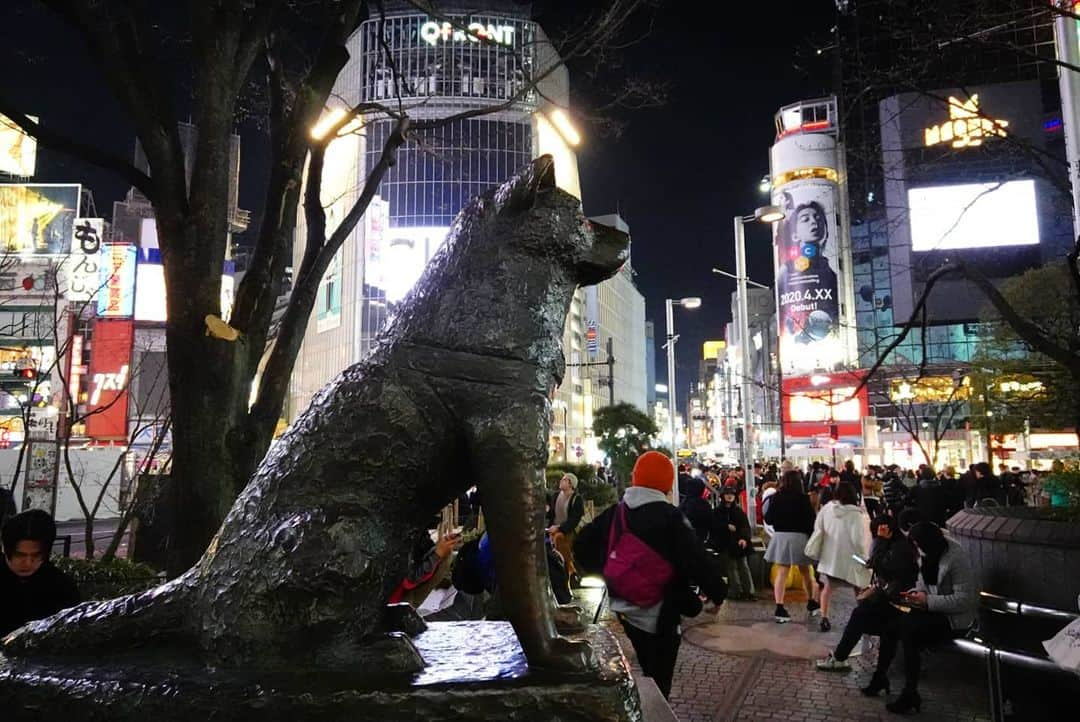 谷中敦さんのインスタグラム写真 - (谷中敦Instagram)「今日のハチ公。 #rx0ii」3月18日 21時34分 - a.yanaka