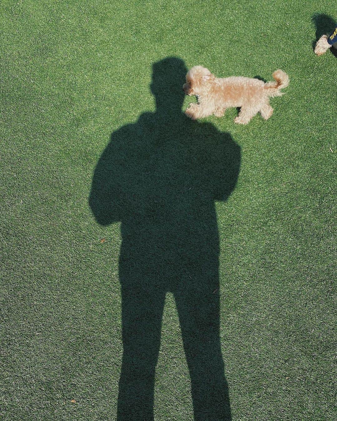 Cody Higaのグルメインスタ