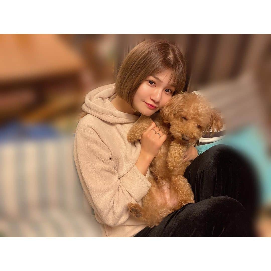 桜井りおなのインスタグラム：「そろそろあいたくなるよね～ㅤㅤㅤㅤㅤㅤㅤㅤㅤㅤㅤㅤㅤ  ㅤㅤㅤㅤㅤㅤㅤㅤㅤㅤㅤㅤㅤ #ココア #愛犬 #ねむたそう #なとこもかわいい #実家 #dog #🐶」