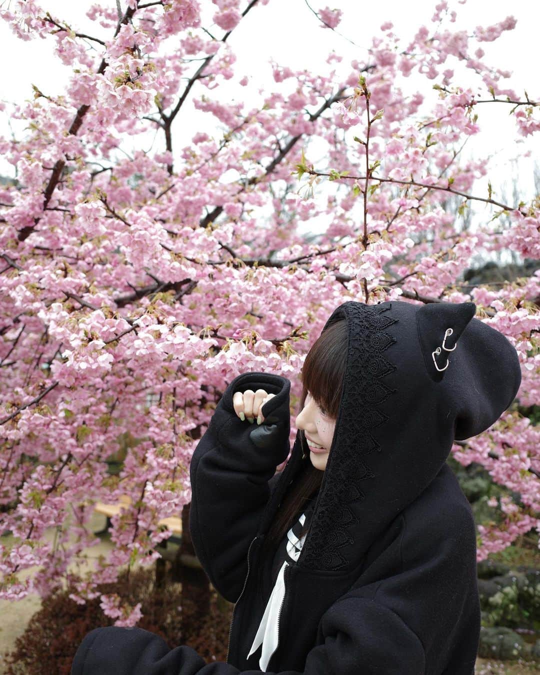 椎名ひかり（ひかりん）さんのインスタグラム写真 - (椎名ひかり（ひかりん）Instagram)「カワイイジャパンダのロケ収録📺 ぴ様の花びらに口づけを… しゃくら。食う？？キミノ花びらおいちいね。。。 #naturalbeautycamp #ナチュラルビューティーキャンプ　#jr西日本  #せとうちパレット　#カワイイジャパンダ　　#その花びらに口づけを　@naturalbeautycamp」3月18日 22時47分 - pikarin_shiina