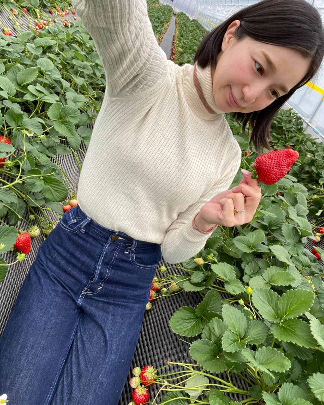 芹那さんのインスタグラム写真 - (芹那Instagram)「念願の#苺狩り 🥰💕💓 何個食べたかなぁ。。🤤 #スカイベリー 大きくて甘くて 食べるたびにおいしーって言っていた🍓🥰🍓 毎日苺食べたい❤️ あとあまーーーいおみかん🍊も食べたいな❣️❣️❣️」3月18日 23時03分 - serinaofficial