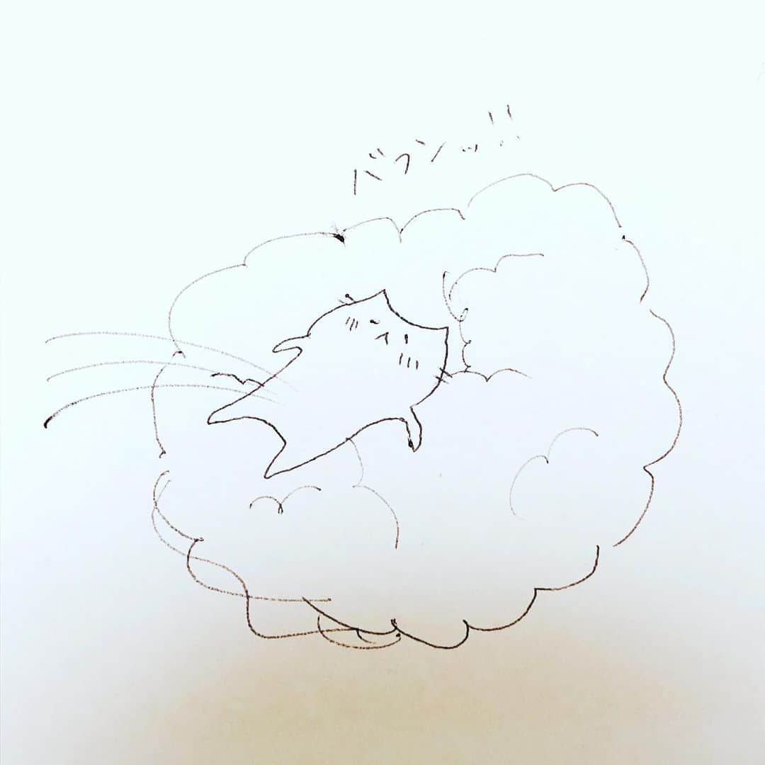 渋谷飛鳥さんのインスタグラム写真 - (渋谷飛鳥Instagram)「本日もお疲れ様」3月18日 23時11分 - shibuya_asuka_official