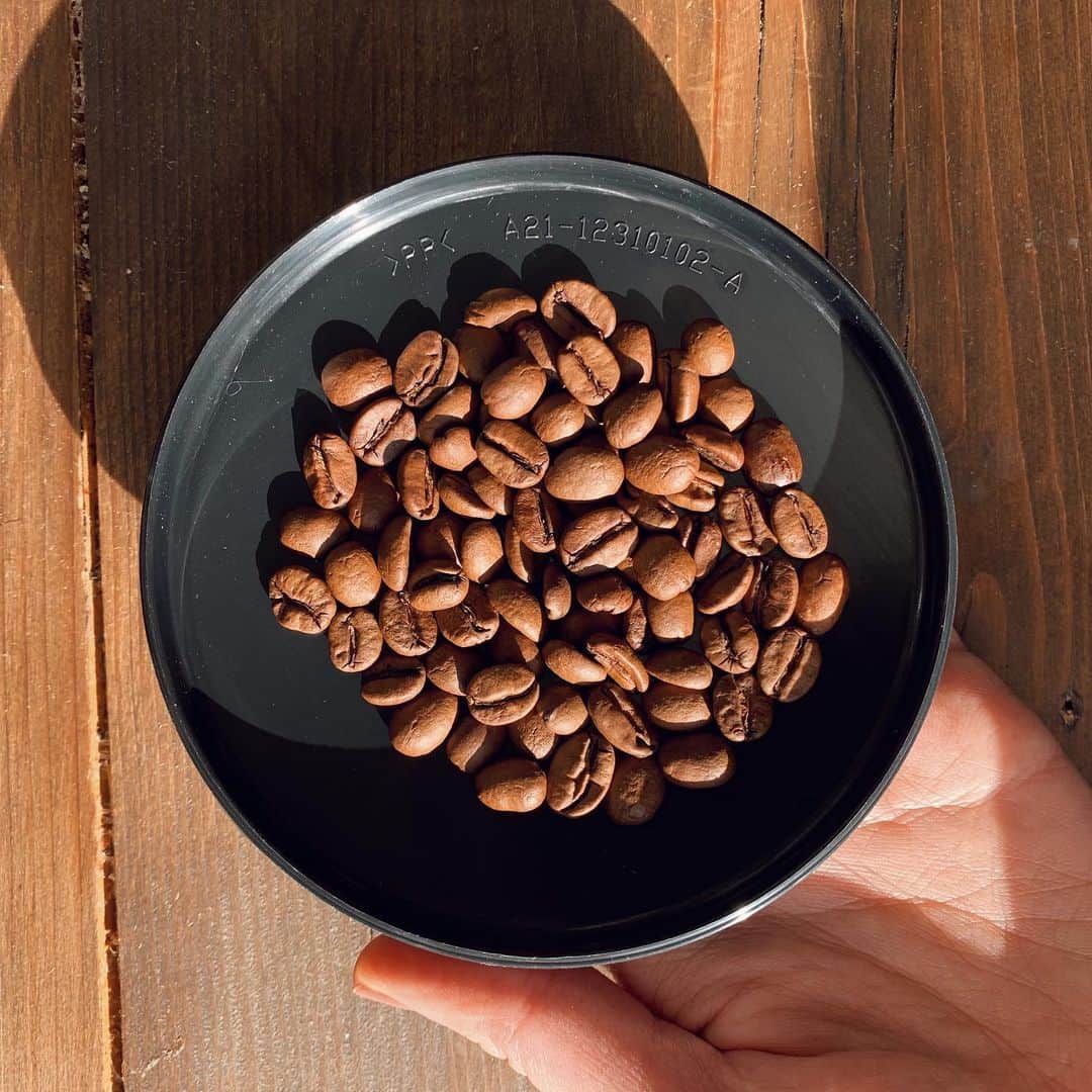 Amelia Zadroのインスタグラム：「Little morning rituals 💫🙏🏻」