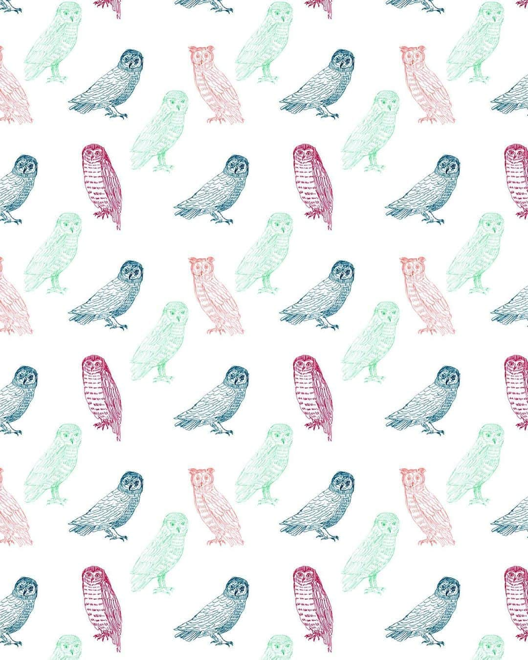 関根正悟さんのインスタグラム写真 - (関根正悟Instagram)「“OWLS” ・ 🦉 ・ #shogosekine #textiledesign #printdesign #owl」3月18日 23時22分 - shogosekine0319