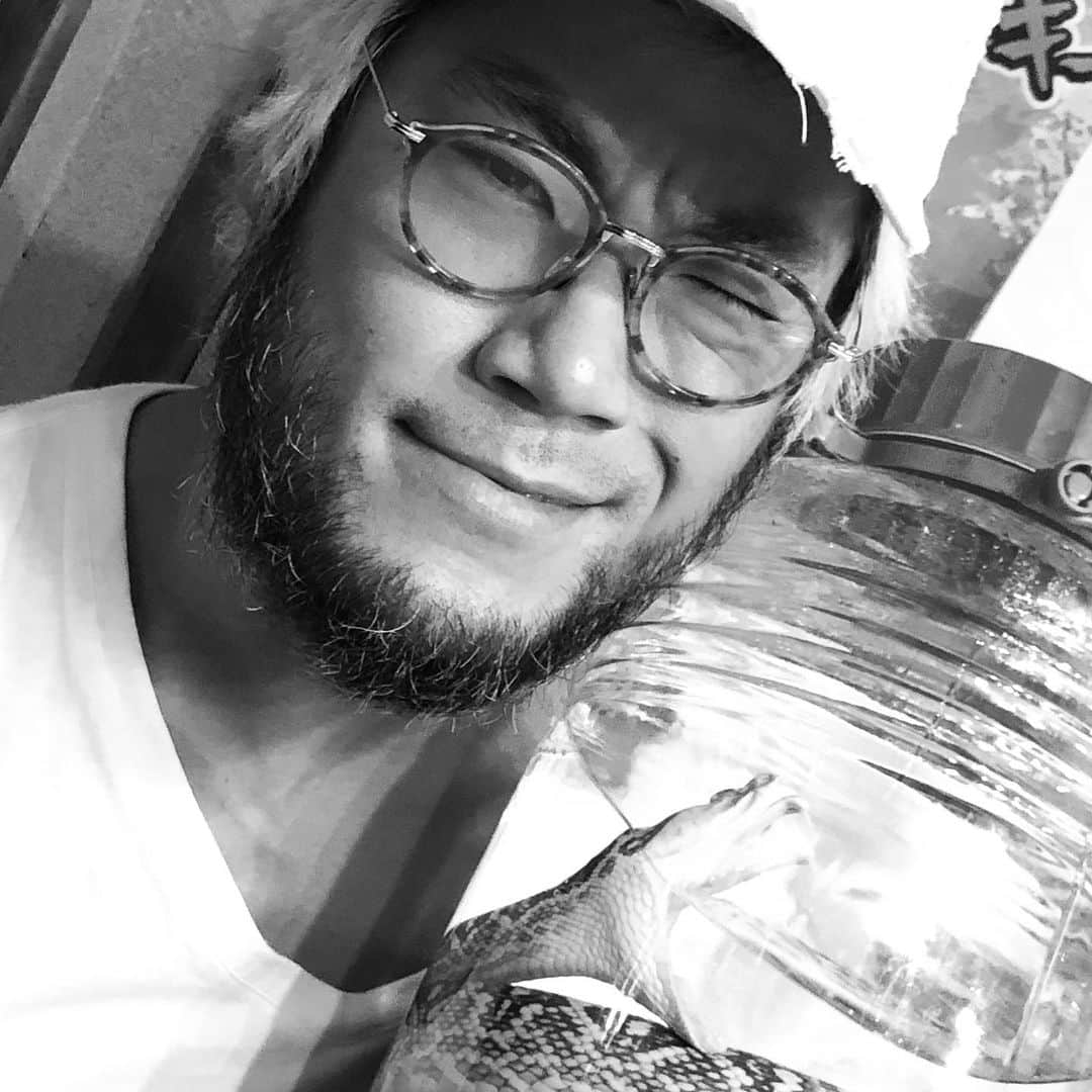 鷹木信悟さんのインスタグラム写真 - (鷹木信悟Instagram)「ハブ酒で免疫力を上げる...🔥🐉×🐍🔥」3月18日 23時26分 - takagi__shingo