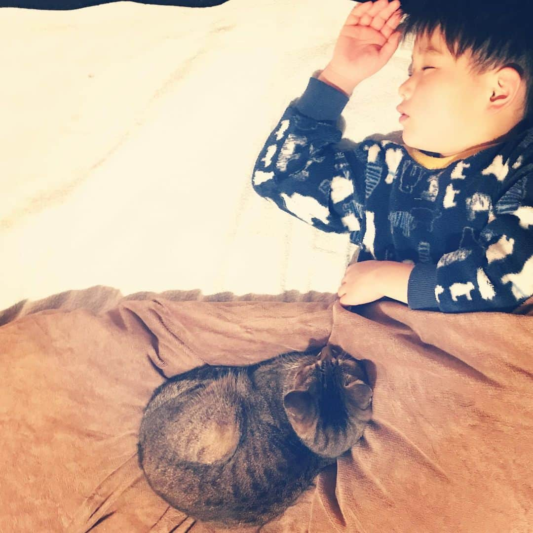 makicocomoさんのインスタグラム写真 - (makicocomoInstagram)「With Toco💤 ・ 幼稚園もあと2日。 自由登園でみんなとなかなか会えないけど、いい思い出作ってほしいな。 廉太郎の時から10年お世話になった園とお別れするのは、私が寂しいです(/ _ ; )」3月19日 0時10分 - makicocomo