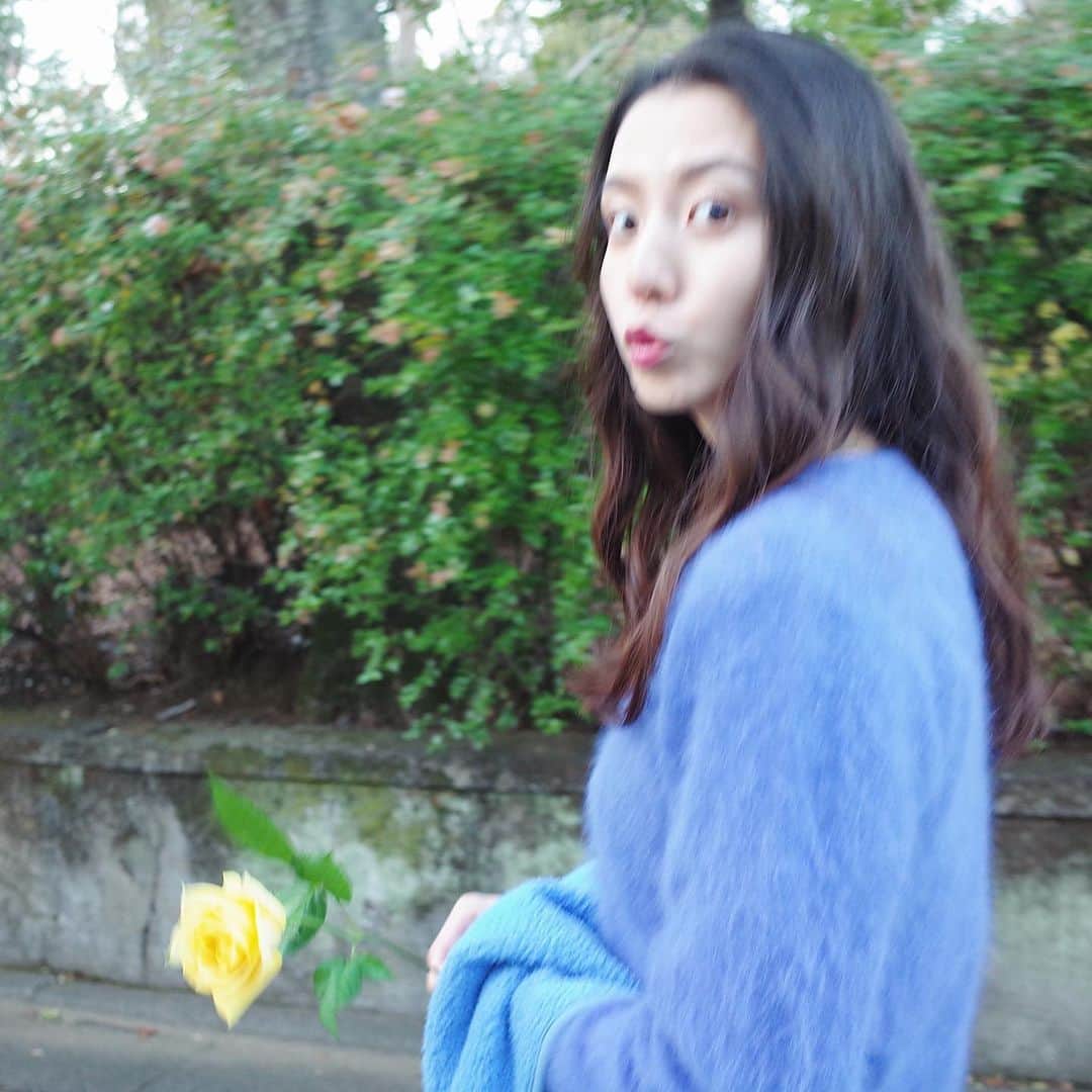 宮原華音さんのインスタグラム写真 - (宮原華音Instagram)「ブレてる写真好きなの わかる？  #kaedespic #ブレてるくらいがちょうどいい #ブレてる #ブレてるぐらいがちょうどいい #ブレてる写真 #薔薇 #黄色い薔薇 #黄色いバラ #青ニット #followｍe #instagood」3月19日 0時38分 - miyahara_kanon