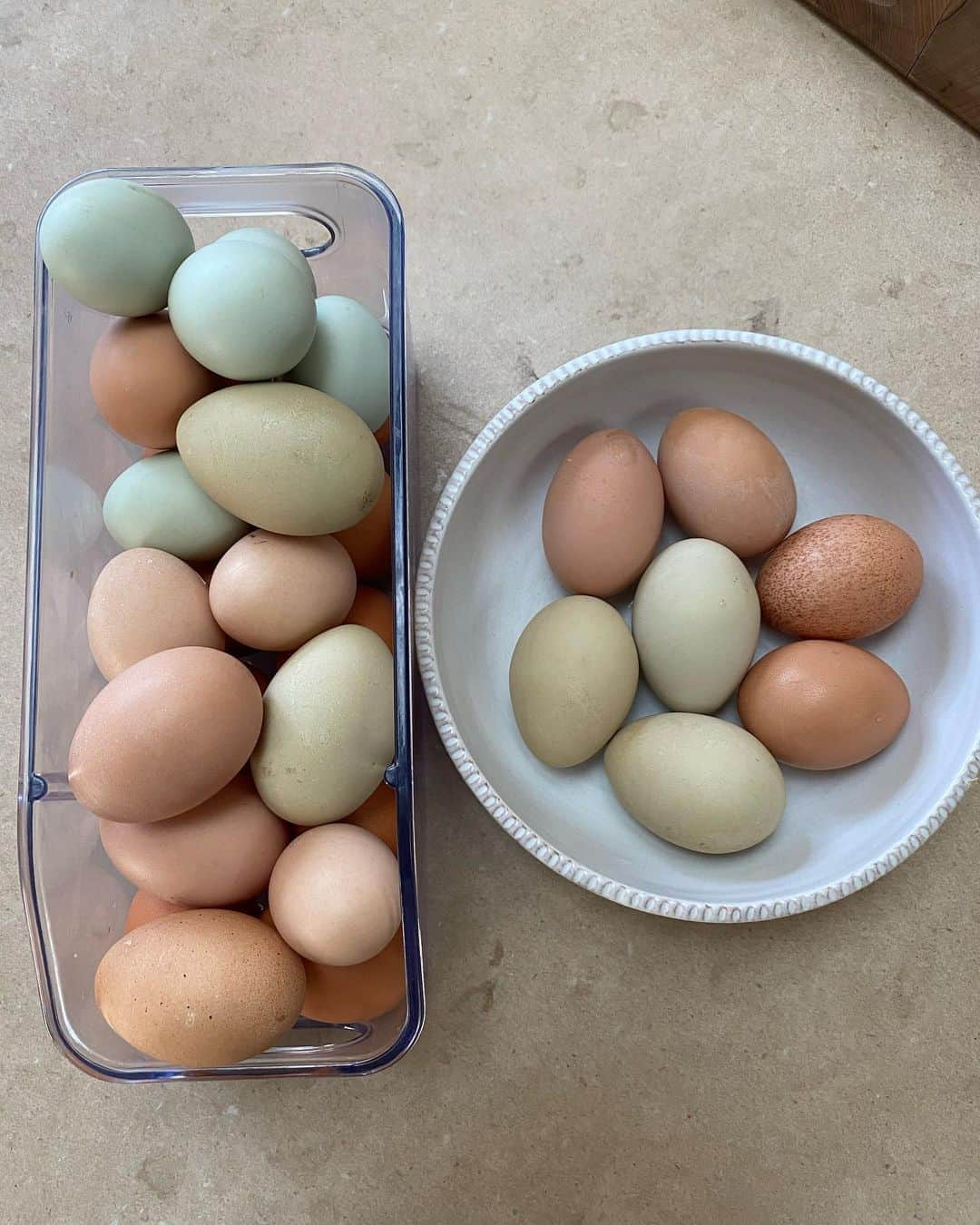 ピエール・ブーヴィエさんのインスタグラム写真 - (ピエール・ブーヴィエInstagram)「Thank goodness for backyard chickens.  Give me a holler if you need an egg. 🐔🍳 #backyardchickens」3月19日 1時04分 - pierrebouvier