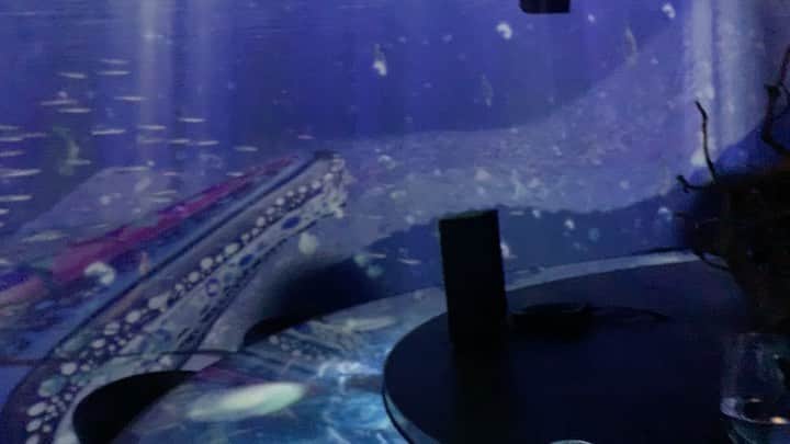 本山なみのグルメインスタ