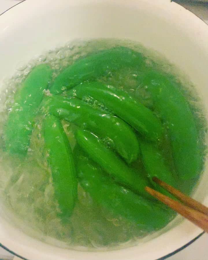 佐野光来のインスタグラム：「お湯の泡が沸いて割れる音と、いれた瞬間鮮やかになる緑とか  スナップエンドウが大好きなのに、スジ取るのがずうっとへたっぴ。」