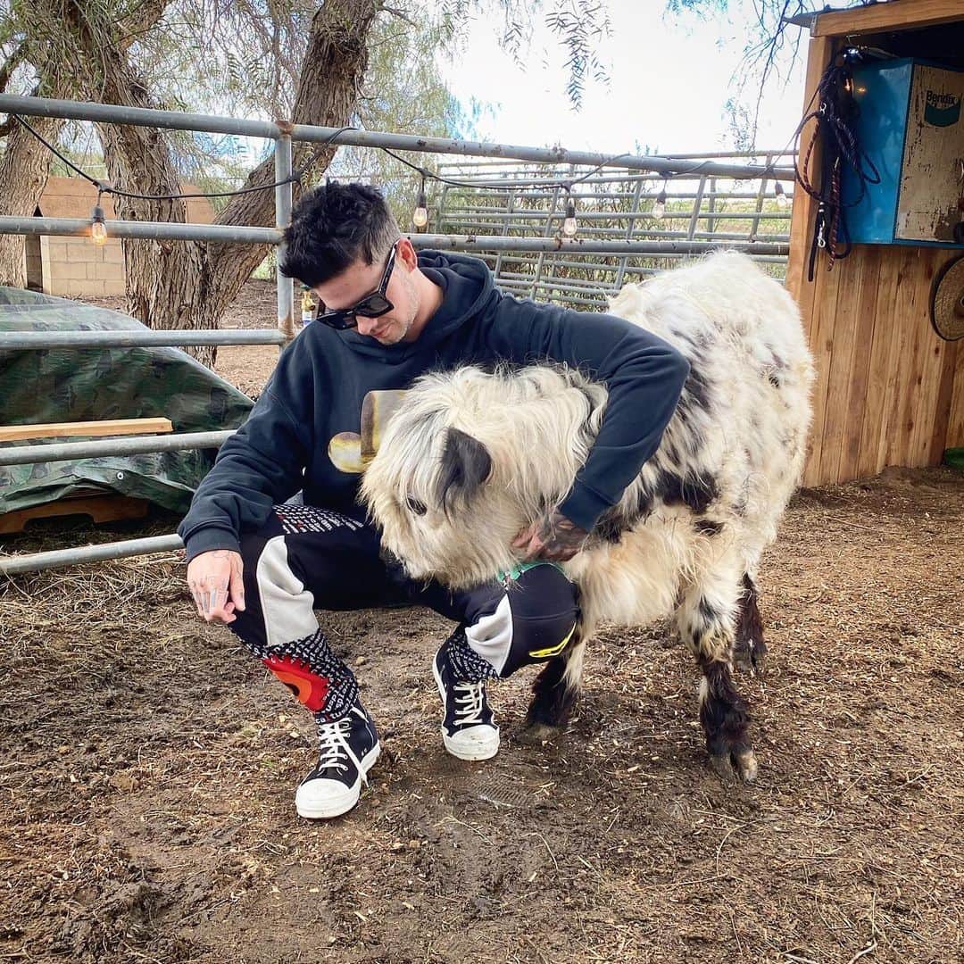 T・ミルズさんのインスタグラム写真 - (T・ミルズInstagram)「He was a boy, she was a cow, can i make it any more obvious」3月19日 3時37分 - travismills