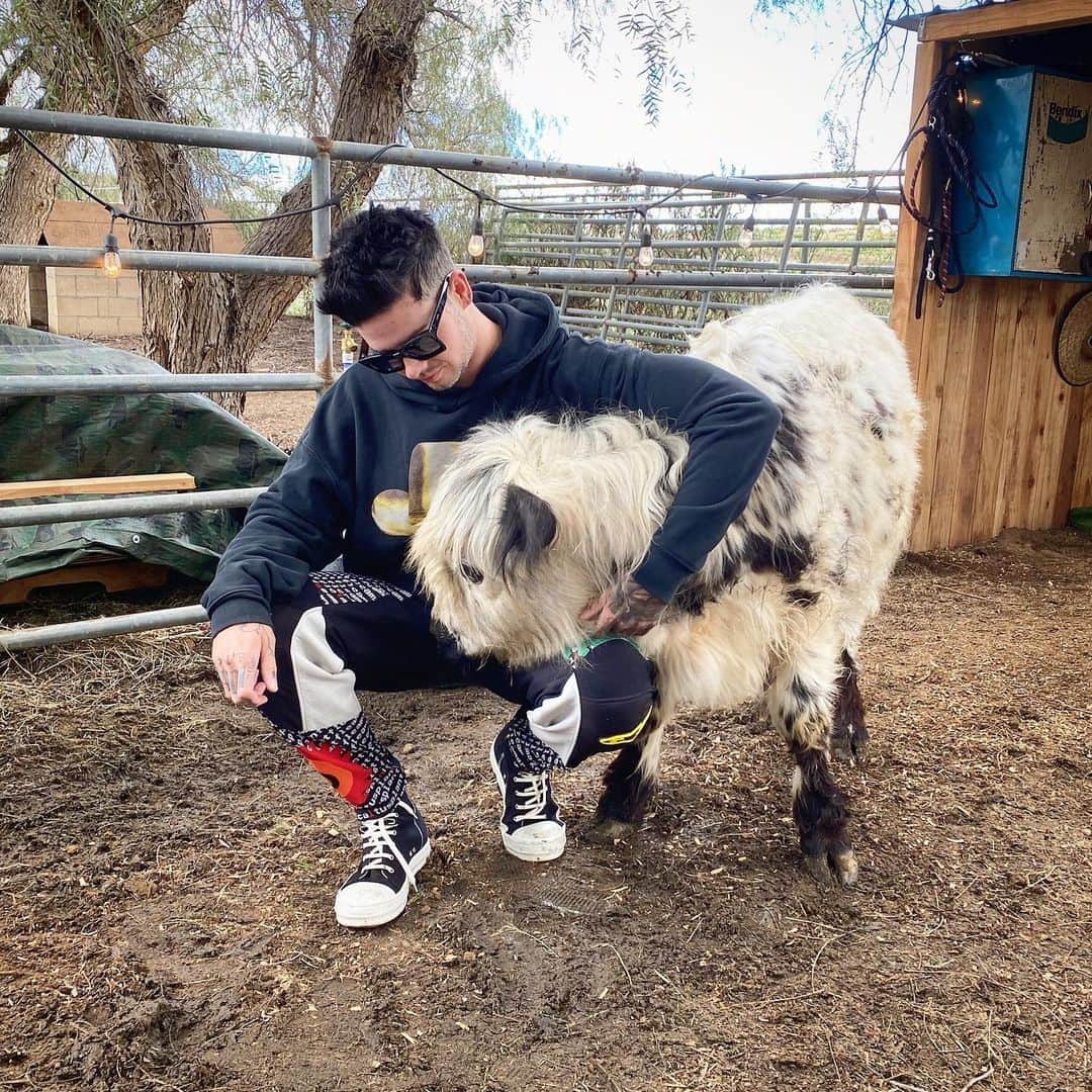 T・ミルズのインスタグラム：「He was a boy, she was a cow, can i make it any more obvious」