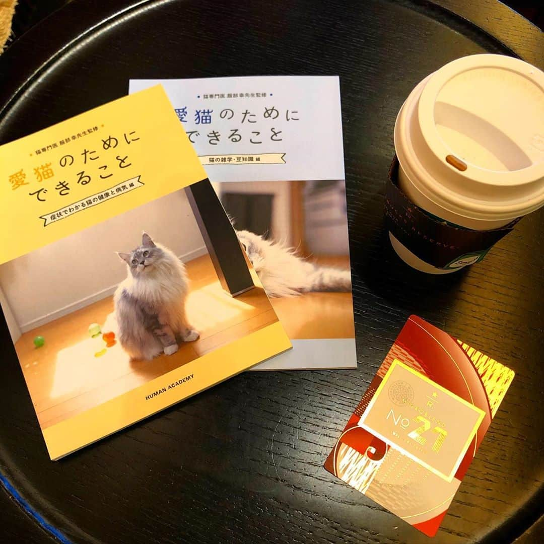 井咲アキさんのインスタグラム写真 - (井咲アキInstagram)「🐱☕️ ペット業界は闇が深く、悪徳なペットショップや、 動物虐待、殺処分問題など、もっと多くの人に 知ってほしいことがたくさんある。 悪気はないけれど、軽い気持ちで 動物を飼う人も少なくない。 最終的には殺処分0の国にすることを目指して、 まずは大好きな猫のことを勉強して、資格を持って、 猫関係の仕事に携わりながら、 多くの人にいろんなことを伝えていけたら いいなって思ってる！ 頑張るぞ！！！😼✨ ・ ・ ・ #キャットケアスペシャリスト#愛猫健康講座 #猫#愛猫#猫好き#猫好きさんと繋がりたい #ペット業界#保護猫#殺処分ゼロ#資格取得 #スタバ#スターバックス#カフェ　 #catscarespecialist#cat#cats#specialist#pet#pets #instagood#catstagram#lovecats#cafe#starbucks」3月19日 14時36分 - ak.i__o0