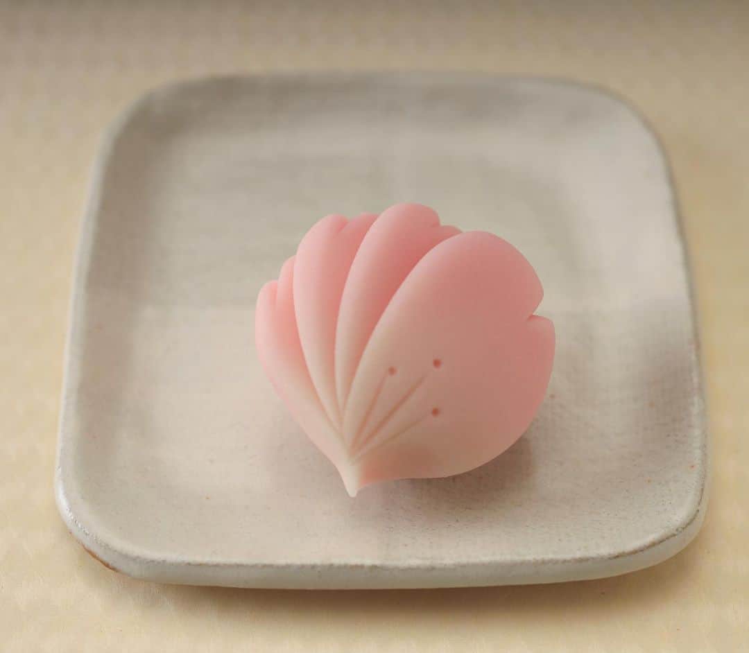 Toru Tsuchieさんのインスタグラム写真 - (Toru TsuchieInstagram)「今日の和菓子はねりきりで作った八重桜です。 ねりきりとは白餡に餅や芋を混ぜて作った和菓子で 茶道 で使われる「主菓子」の一種です。 撮影 用に製作しました。 昨日は月も出てないし雲もないので星の写真でも撮ろうかと出掛けましたが なかなかピントが合わず諦めて帰りました。 帰り道で接写リングをつけていることに気がつきました。 ハ〜〜。 割とおっちょこちょいです。 フェイスブックページのいいね！もよろしくお願いします。 https://www.facebook.com/shishisu/ I would like a job request from you. Today's wagashi is Cherry blossom with Nerikiri. The Nerikiri is the material of wagashi made by mixing the rice cake and yam in white bean. Is a kind of "Jounamagashi" as used in the tea ceremony. The sweets I've made for the shooting.#福泉堂  #和菓子  #日本文化 #funny #my_eos_photo #和菓子好き #楽しい時間 #カメラ好きな人と繋がりたい  #写真好きな人と繋がりたい　 #model #春 #kawaii🌸 #Japan #wagashi  #happy #japanesefood #ファインダー越しの世界 #جميل #かわいい💕 #撮影 #happy #Mignon #スイーツ男子 #일본디저트  #cute #เค้ก #sweets #десерты #Délicieux」3月19日 7時09分 - choppe_tt