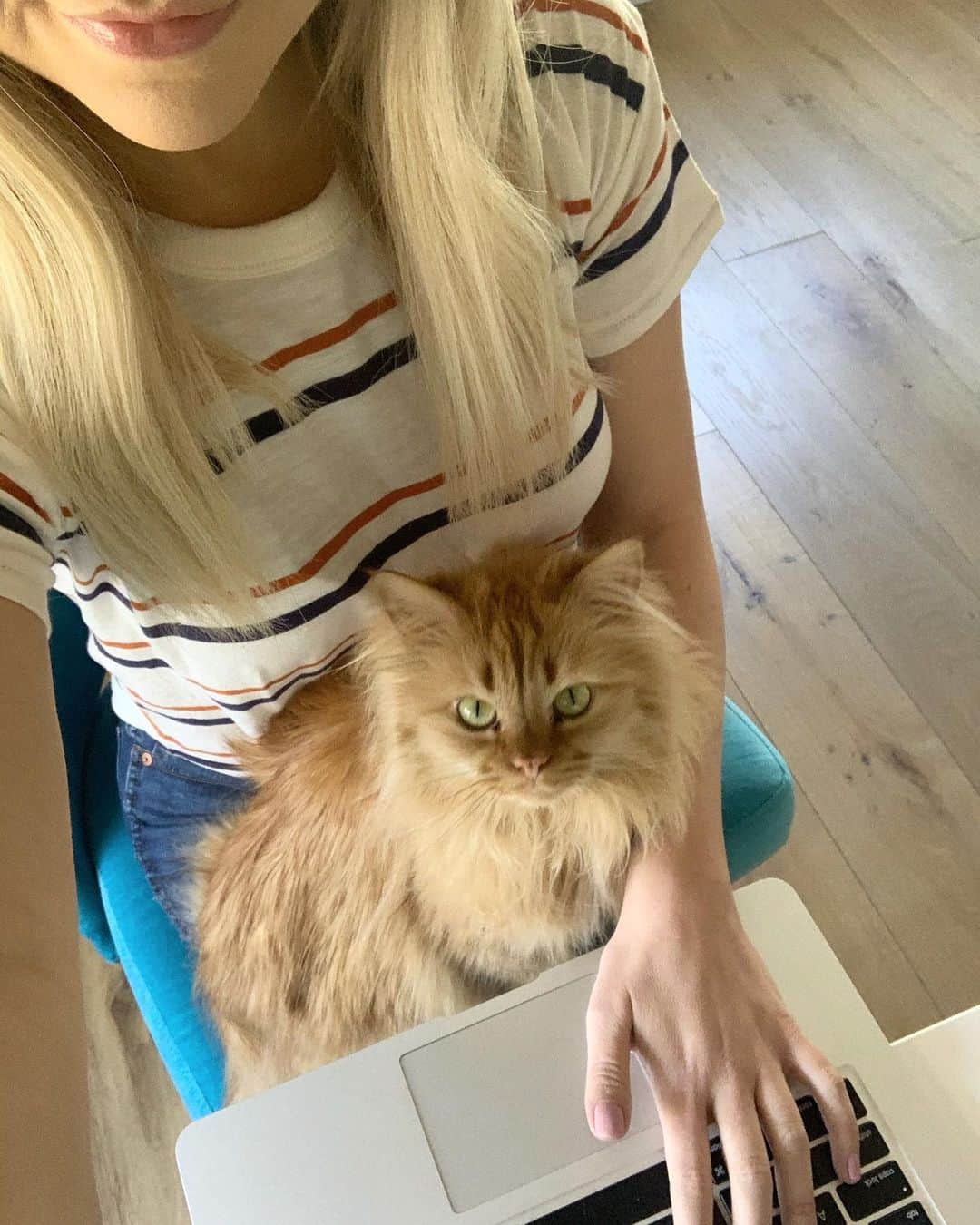 Coen, Ava, Reyのインスタグラム：「Working from home, too? Hire a temporary office assistant, lunch buddy and keyboard cuddler. Animal Shelters across the country are facing closures and lower adoptions - and you can (and should!) help by fostering a shelter pet like Rey!  Fostering gives dogs and cats the time, love and care they need to find forever homes. Rey was lucky enough to be a foster baby through @bfas_ut before finding her forever home. Plus, it opens up space for another pet to be rescued.  Visit bit.ly/BestFriendsPartners to find a local shelter near you. Plus, this way you can pick your coworkers!  #BFHELPS」