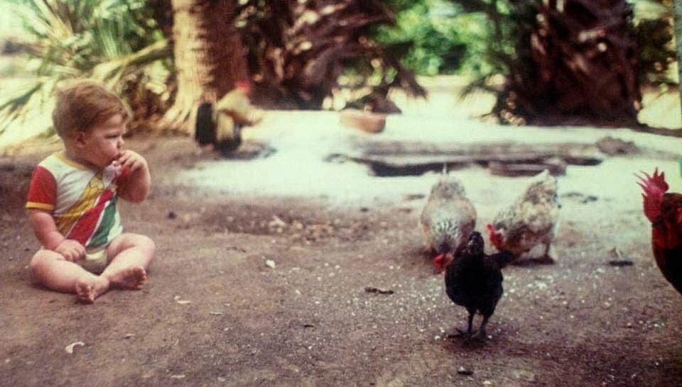 デビッド・ポーコックさんのインスタグラム写真 - (デビッド・ポーコックInstagram)「#tbt to 1988 and 2014  My mom tells me she used to let the chickens babysit me as she could watch me out the kitchen window and I seemed pretty happy to sit and watch them.  She sent me that photo a while ago and then I was going through photos for In Our Nature and found the one Emma took in 2014: just hanging with our chickens in Canberra 😊😂 #throwbackthursday #weirdo #chickens #zimbabwe #canberra #babysitting」3月19日 7時47分 - davidpocock