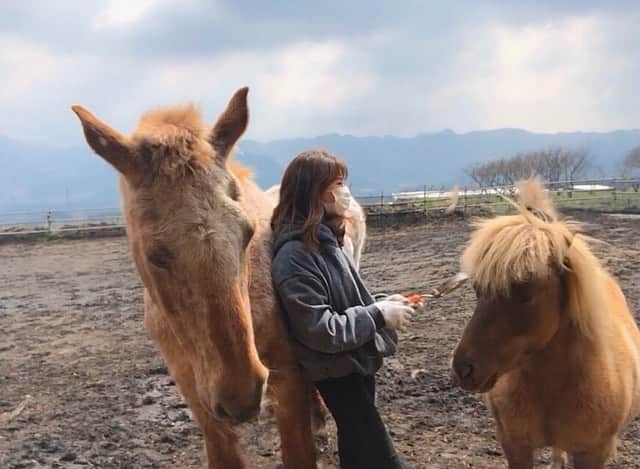 安藤志穂美のインスタグラム