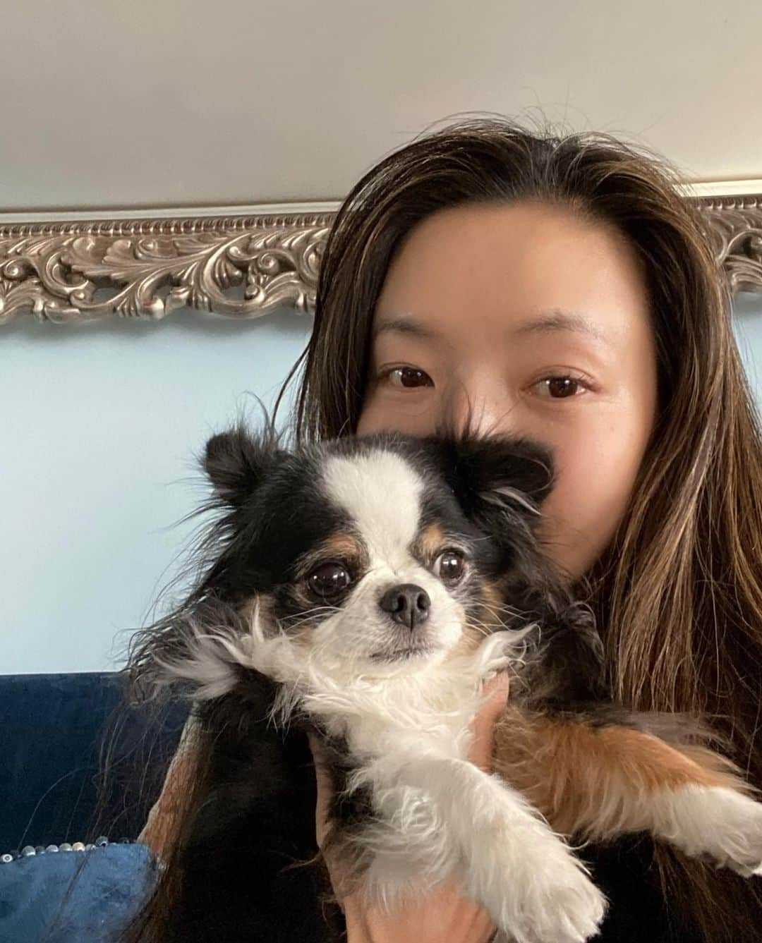 和央ようかさんのインスタグラム写真 - (和央ようかInstagram)「I’m chilling with my baby Dondon🐶 and my friend’s beauty book 📖  ベイビーどんどん🐶と宝塚の先輩で30年？🙄以上のお付き合いの  @shoyabuki0426 さんのビューティ本で過ごす午後😘 出かけないから、どどどすっぴんにジャージの日々😳🤪 #takakonystylin🍎 #nylife #nyc🍎#chihuahua #dondon🐶#どんどん #チワワ#nydog  #どすっぴん」3月19日 9時40分 - yokawao0215