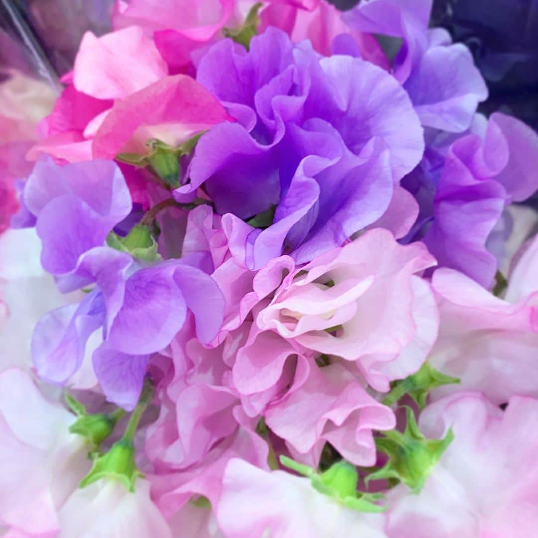 小出由華のインスタグラム：「この色合い好き😍💕 ＊ #お花#ブーケ#blomster#bouquet」
