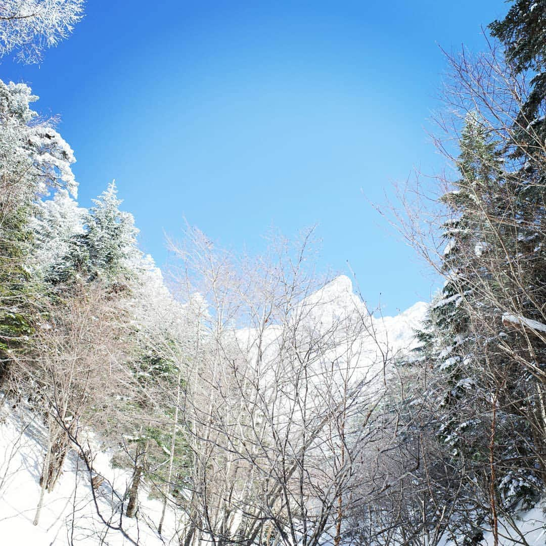 ＩＣＩ石井スポーツエベレスト＆ローツェ登山隊さんのインスタグラム写真 - (ＩＣＩ石井スポーツエベレスト＆ローツェ登山隊Instagram)「アイスクライミングのシーズンもそろそろ終わりかな。 #八ヶ岳#赤岳鉱泉 #アイスクライミング #アイスキャンディー#ジョーゴ沢 #ナイアガラの滝 #乙女の滝#石井スポーツ #登山学校#登山 #冬山 #japanesemountain #mountaineering #山好きな人と繋がりたい #奥田ガイド」3月19日 11時32分 - ishii_ishiisports