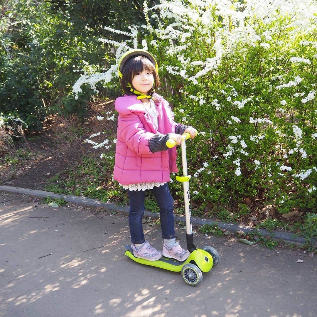 Kuboi Ayumiさんのインスタグラム写真 - (Kuboi AyumiInstagram)「ちょっとずつ桜も咲いてきましたね。﻿ ﻿ 家で過ごす時間が増えているのですが、やっぱり身体を動かすことが好きな娘たちなので﻿ 天気の良い日は家族で公園へ！﻿ ﻿ 親子で最近はまっているのは、GLOBBERの三輪キックスクーター。﻿ ﻿ 「ULTIMUM」は5才から100kgまで使えるので、大人も子どもも乗れちゃいます。﻿ 持ち手の高さを6段階まで調整できるんですよ。﻿ 「Primo Foldable Light」は3才～50㎏まで使えるのですが、ハンドルは3段階の調整ができるので8歳くらいまでは使えそう。﻿ 走っていると車輪がキラキラ光るので娘たちは「見て見て～！」と喜んで走っています。﻿ ﻿ 桜を横目で見ながら、公園を何周もして楽しそうでした。﻿ ﻿ バランス感覚や足腰もしっかり鍛えられるので、運動不足解消にもぴったり。﻿ 見た目はおしゃれでスタイリッシュですし﻿ 工具を使わないで簡単に折りたたむことができるので、﻿ コンパクトで持ち運びや収納しやすのもお気に入りポイントです。﻿ ﻿ ﻿ ﻿ ﻿ #お花見 #桜 #sakura #dadway #ダッドウェイ #外遊び大好き #女の子ママ #休園中の過ごし方　#休校中の過ごし方 #こどものいる暮らし #ママノワ　@mamano.wa 　#GLOBBER　@globberjapan　#グロッバー」3月19日 11時40分 - himekagami