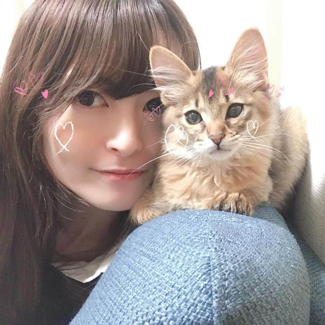 怜花さんのインスタグラム写真 - (怜花Instagram)「家族が増えました🐈♡ 先月お家に来てくれた甘えん坊でやんちゃな男の子です🌼 いっぱい遊んで、食べて寝てぐんぐん成長中ᕙ( ˙-˙ )ᕗ★」3月19日 12時40分 - reika_0419