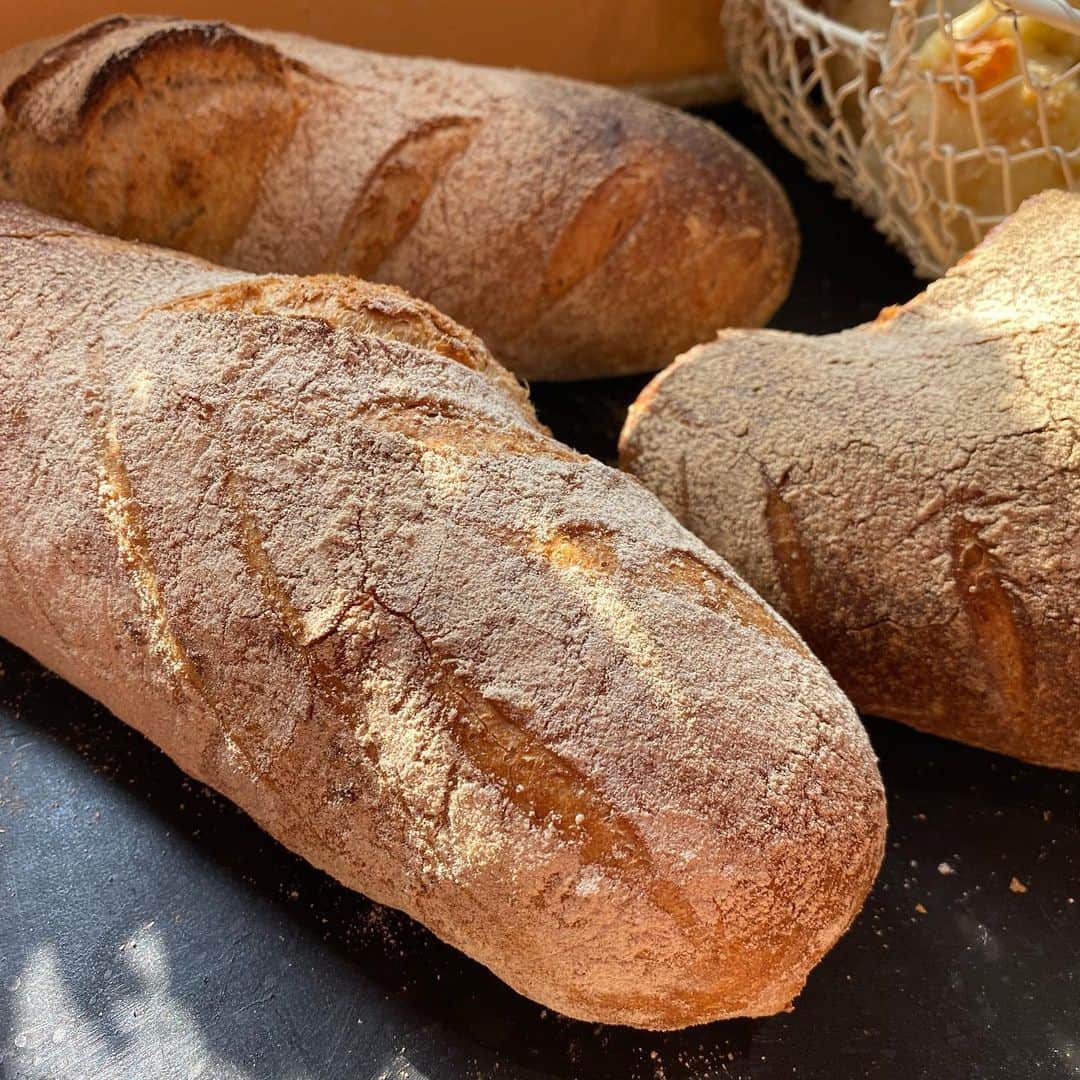 魔女菅原のグルメインスタ