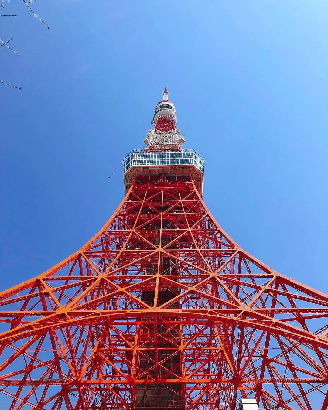 東京タワーの麓の結婚式さんのインスタグラム写真 - (東京タワーの麓の結婚式Instagram)「🗼 雲ひとつない晴天と東京タワー . 青い空に東京タワーが良く映えます🗼✨ 東京タワーの色って「赤」ではなく 「インターナショナルオレンジ」という色なんですよ . 航空法の定めのもと、地上60mを超える高さの建物は “飛行機から認識しやすい色”にするよう 定められているんです✈️ . でも実際は約8割の人が東京タワーを「赤」 だと思っているそうです💡 The Place of Tokyoの挙式会場からは そんな東京タワーが全面に一望できます！ 皆さんもぜひ一度見に来てくださいね😊 . 詳細は(@theplaceoftokyo )まで♡ . #theplaceoftokyo #プレイスオブトウキョウ #プレイスオブトーキョー #プレイスオブ東京 #ザプレイスオブトーキョー #ザプレイスオブ東京 #ザプレイスオブトーキョー #ゲストハウス婚 #令和2年婚 #東京タワー #東京タワーが好き #tokyotower #tokyowedding #東京タワーが見える #2020婚 #2020wedding #2020夏婚 #2020秋婚 #結婚式準備 #結婚式  #ちーむ2020 #東京花嫁 #プレ花嫁準備 #ぷれ花嫁 #プレ花嫁 #ロケーションフォト #挙式 #挙式レポ」3月19日 13時17分 - theplaceoftokyo