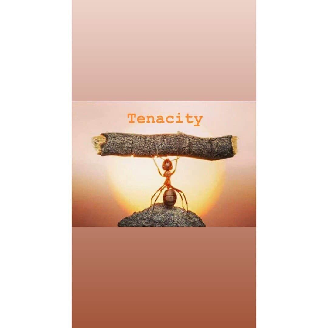 村主章枝さんのインスタグラム写真 - (村主章枝Instagram)「"Tenacity" Yes we are strong👊🏻 #tenacity」3月20日 0時06分 - fumie.suguri