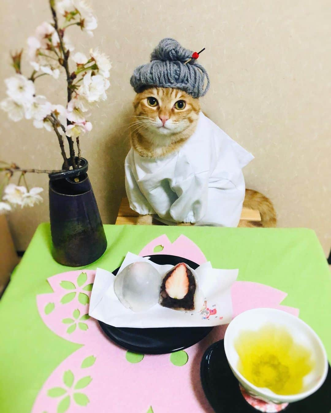 マロさんのインスタグラム写真 - (マロInstagram)「🌸春分の日🌸　　SWIPE▶️ 今日は初めて🍓いちご大福を作ってみたニャン❣️1日も早くコロナウィルスが収束するように祈りを込めて🙏 🌸 We made "Ichigo daifuku" which is a soft rice cake stuffed with sweet bean paste and a strawberry. It is a popular traditional Japanese sweet. "Ichigo"means"strawberry" in Japanese and "daifuku" is a soft rice cake, usually stuffed with sweet bean paste.  May the coronavirus converge soon. 🌸 いつもコメントありがとうございます😺🙏💕 返信出来なくてすみません🙇‍♀️ 全て拝見しています🐾 🌸 Thank you for your kind comments😺🙏💕 I'm sorry that I couldn't reply. 🌸 #cat#cats#catsofinstagram#😻 #japanesefood#japaneseculture  #spring#wagashi#ねこ#ネコ#猫 #にゃんすたぐらむ#ふわもこ部  #ねこ部#春分の日#いちご大福 #さくら#ねこのいる生活#春 #斉藤和義#カーリングシトーンズ」3月20日 0時20分 - rinne172