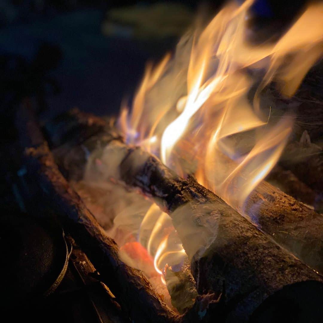 阿諏訪泰義さんのインスタグラム写真 - (阿諏訪泰義Instagram)「ポートレート焚き火えぐい。 #野あすわ」3月19日 16時45分 - ushirocityaswa