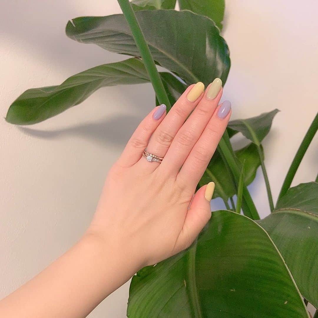 本田しおりのインスタグラム：「@unbyao.shibuya でネイルチェンジ💅  いくつかの項目に答えてパーソナルカラー診断してもらえて、出た結果の自分のパーソナルカラーに合わせてブレンドカラーしてくれました くすみパステルカラー。 気に入ってます^ ^ 相変わらずブッサイクなクリームパンスタイルな手でごめんなさいw 3枚目はお付き合いしてくれた娘👶  #unnail #パラジェル #シンプルネイル #ワンカラーネイル #大人ネイルサロン #春ネイル」
